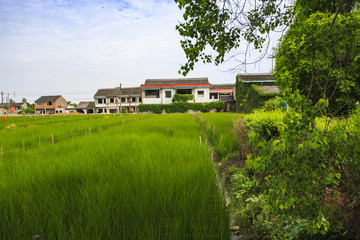 寧波,鄉(xiāng)村,農(nóng)村,城鎮(zhèn)
