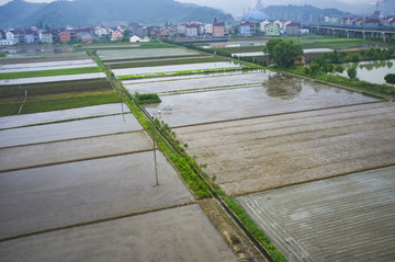 寧波,鄉(xiāng)村,農(nóng)村,城鎮(zhèn)