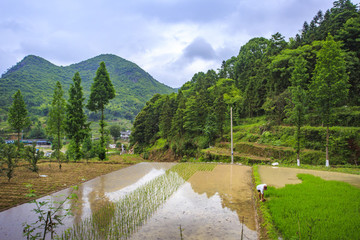 寧波,鄉(xiāng)村,農(nóng)村,城鎮(zhèn)