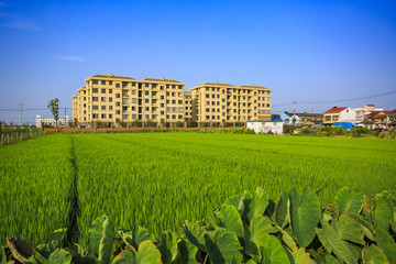 寧波,鄉(xiāng)村,農(nóng)村,城鎮(zhèn)