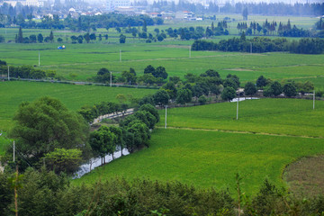 寧波,鄉(xiāng)村,農(nóng)村,城鎮(zhèn)