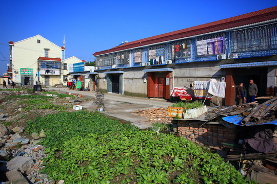 農(nóng)村