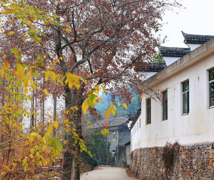 農(nóng)村