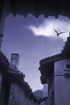 寧波,鄉(xiāng)村,農(nóng)村,城鎮(zhèn)