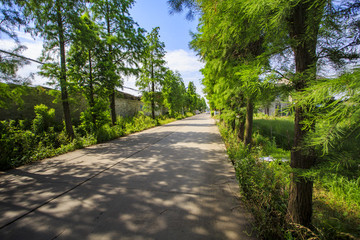 寧波,鄉(xiāng)村,農(nóng)村,城鎮(zhèn)