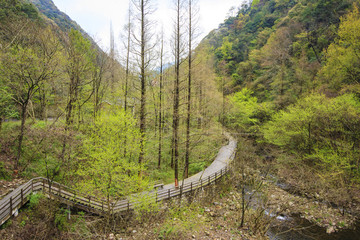 寧波,鄉(xiāng)村,農(nóng)村,城鎮(zhèn)