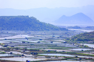 寧海縣