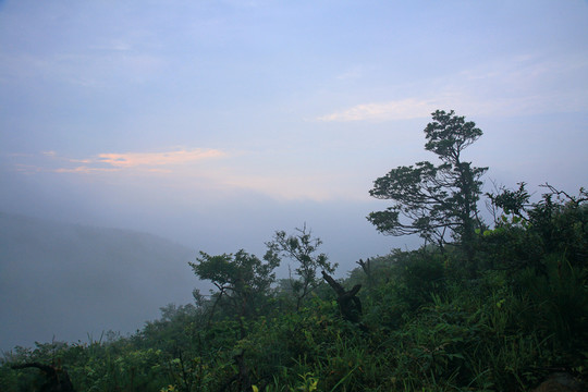 戶外山水
