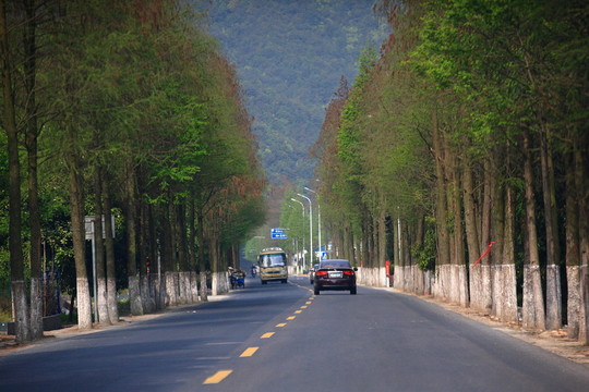城鎮(zhèn)風(fēng)貌