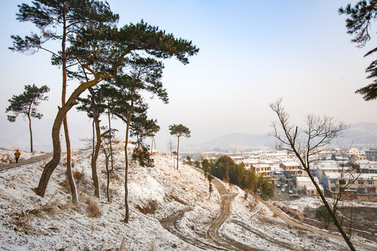 戶外雪景