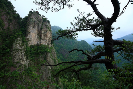 青山綠水