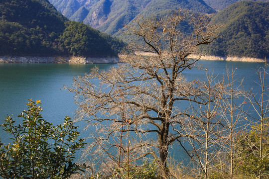 青山綠水