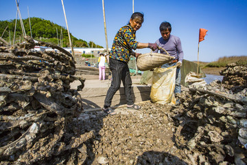寧海縣