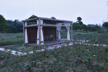 戶外活動(dòng)