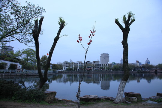 戶外風(fēng)光