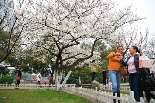 公園游玩