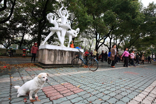 戶外公園
