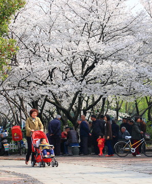 戶外公園