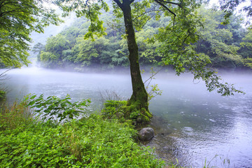 海曙區(qū)