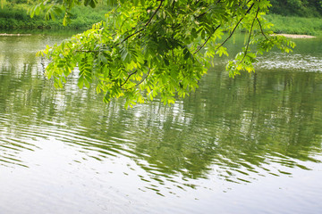 海曙區(qū)