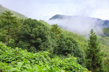 海曙區(qū)