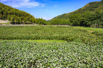 海曙區(qū)