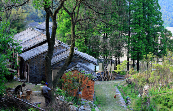 農(nóng)村風(fēng)貌