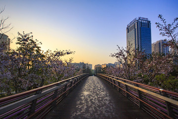 鄞州區(qū)