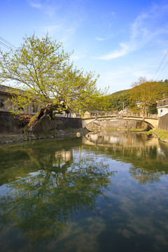 鄞州區(qū)