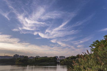 湖泊濕地花都胡