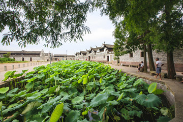 鄞州區(qū)