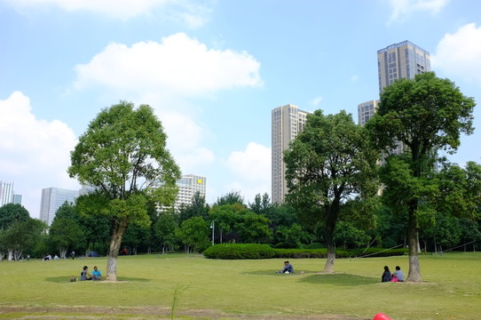 草地