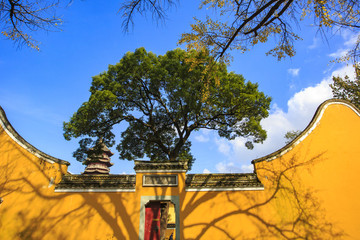 鄞州區(qū)