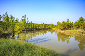 鎮(zhèn)海區(qū)