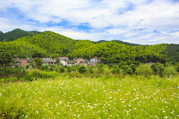 鎮(zhèn)海區(qū)