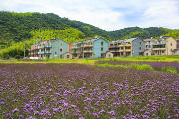 鎮(zhèn)海區(qū)