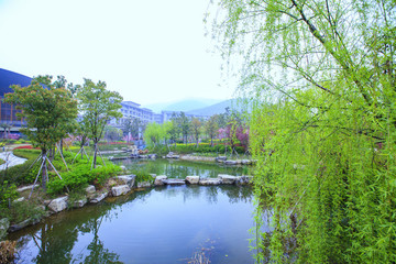 鎮(zhèn)海區(qū)