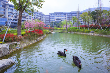 鎮(zhèn)海區(qū)