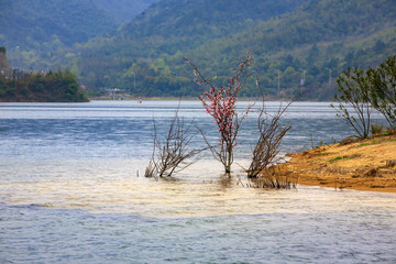 鎮(zhèn)海區(qū)