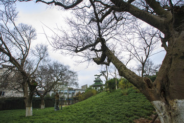 鎮(zhèn)海區(qū)
