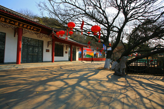 戶外風(fēng)光