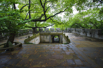 鎮(zhèn)海區(qū)