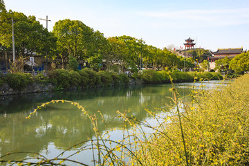 鎮(zhèn)海區(qū)