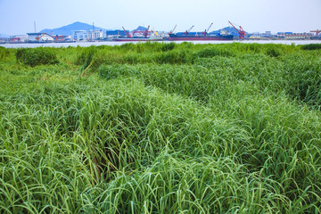 鎮(zhèn)海區(qū)