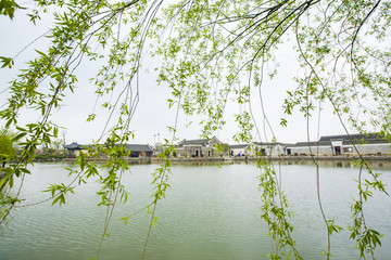 鎮(zhèn)海區(qū)