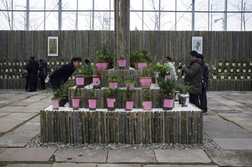 蘭博會(huì),蘭花,展覽