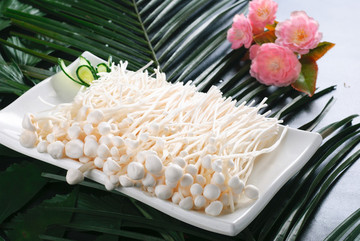 金針菇