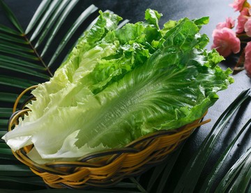火鍋生菜