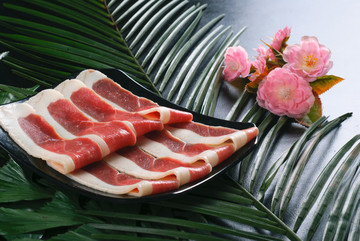 鴨脯肉