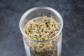 金銀花